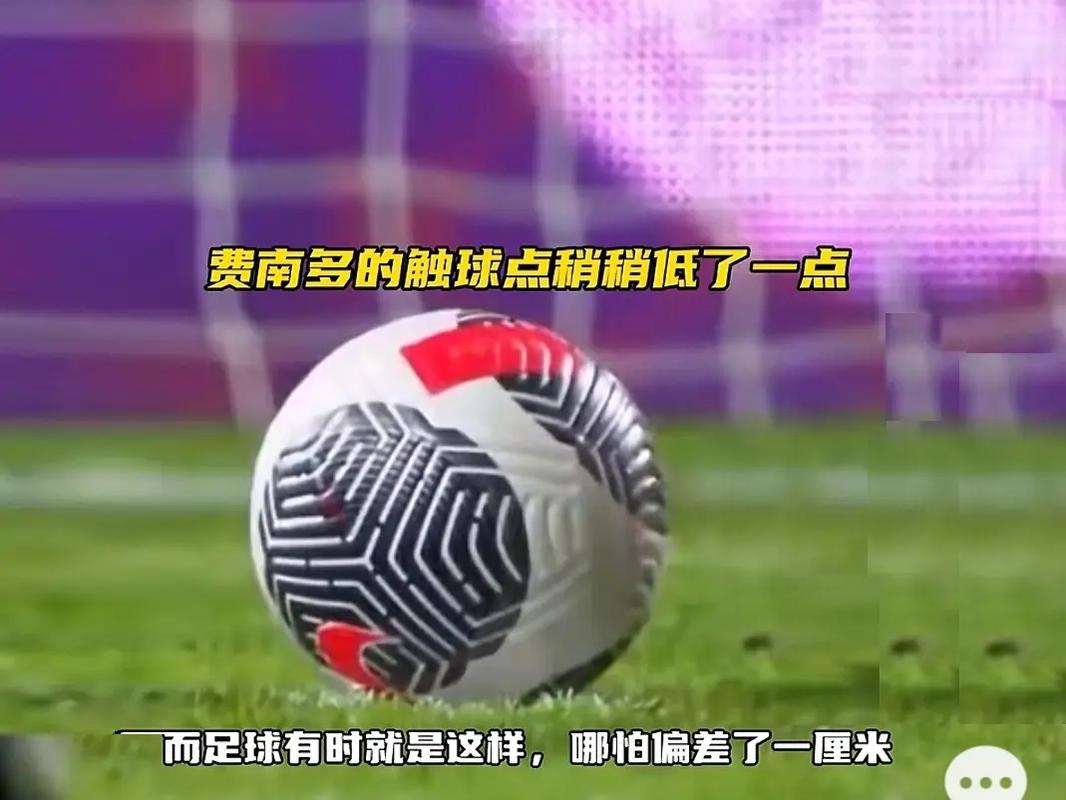 观赛