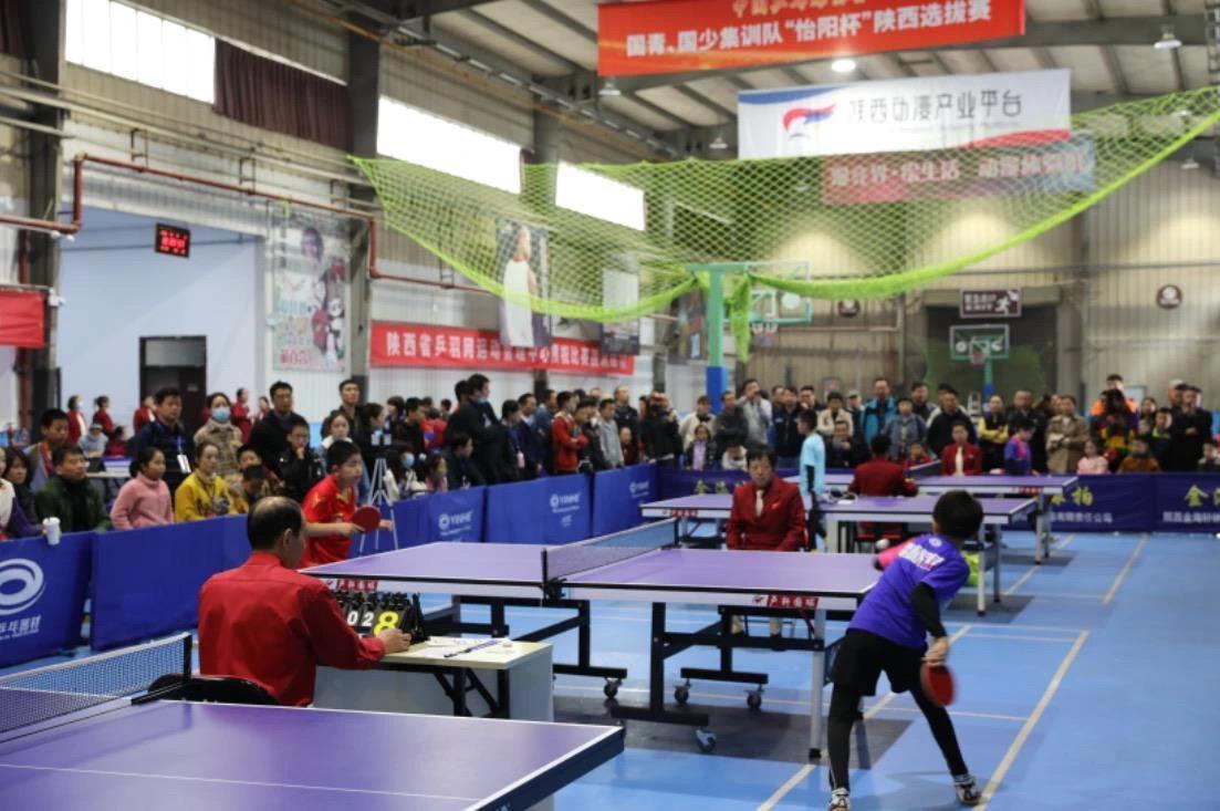 这不仅令外 这不仅令外