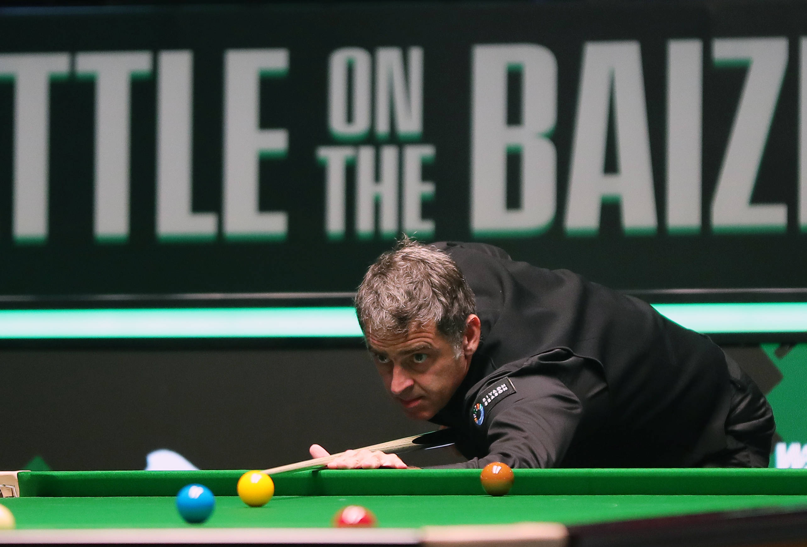 兼顾动物保 兼顾动物保